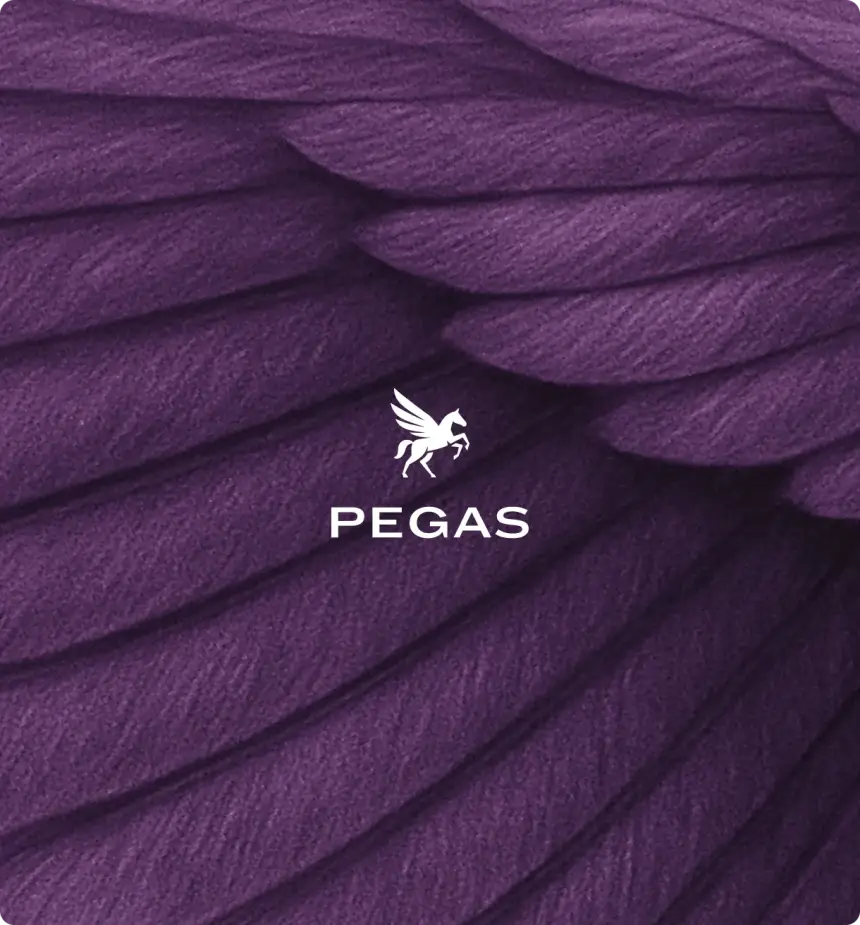 Případovka Pegas